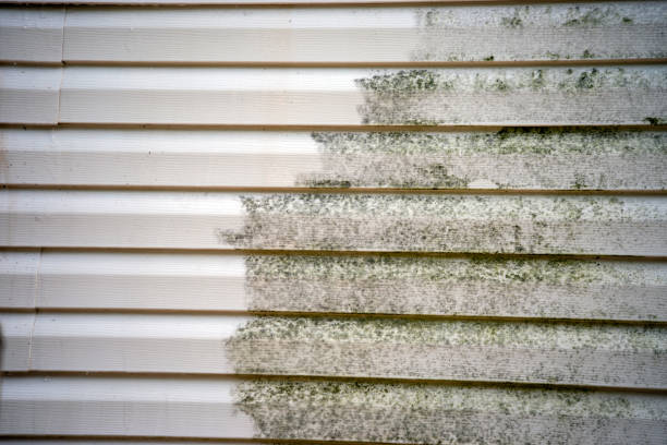 Best Construction Debris Removal  in Centerport, NY